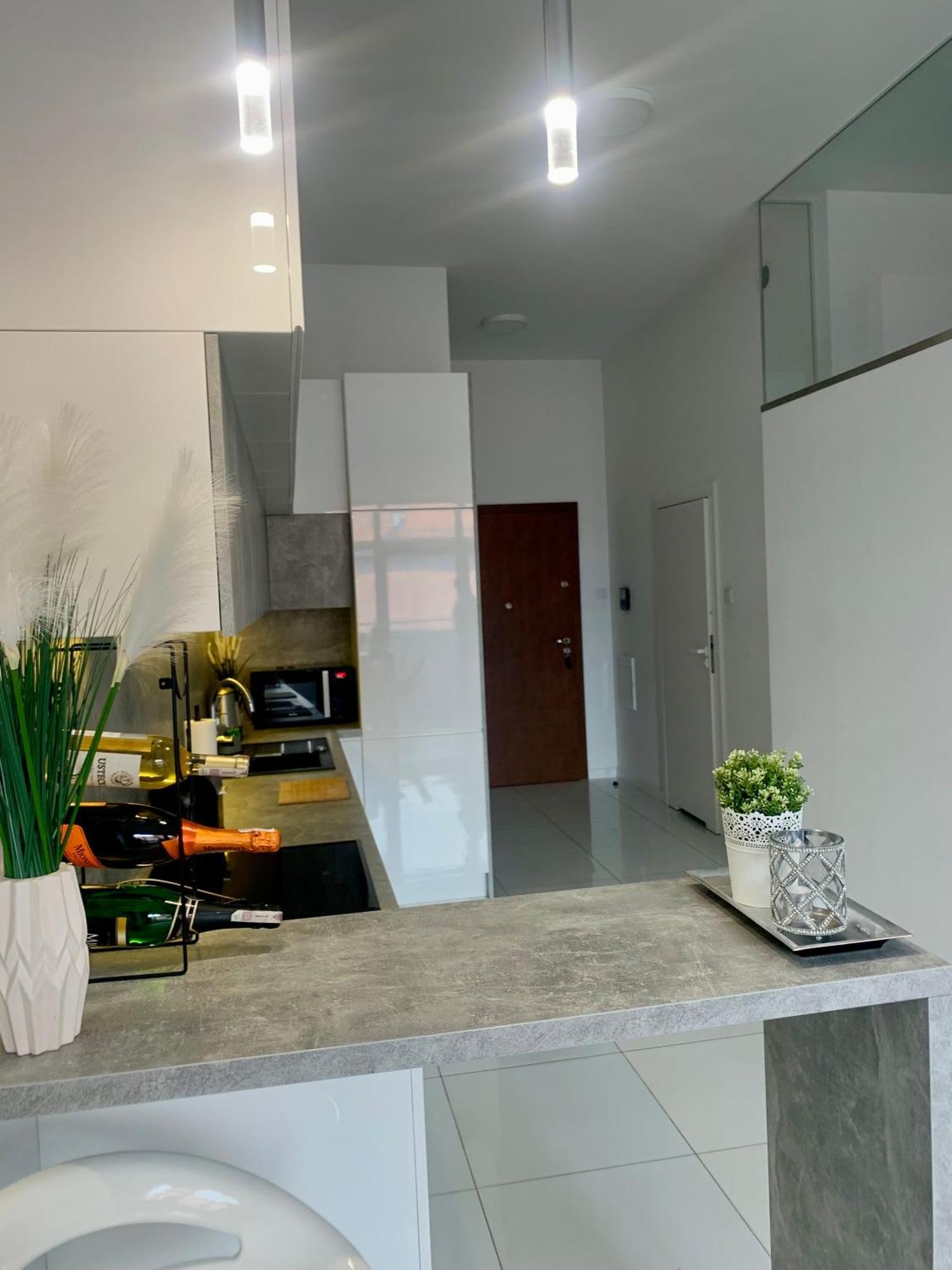 Ekskluzywny Loft Tymienieckiego